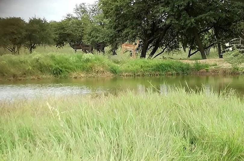 0 Bedroom Property for Sale in Welkom Rural Free State